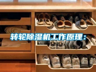 常见问题转轮除湿机工作原理：