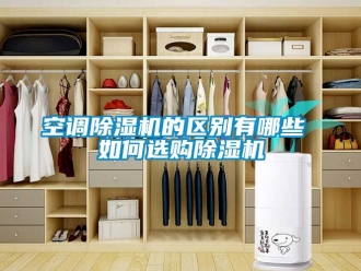 行业新闻空调除湿机的区别有哪些 如何选购除湿机