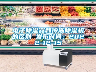 行业新闻电子除湿器和冷冻除湿机的区别 发布时间：2022-12-15