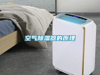 行业新闻空气除湿器的原理
