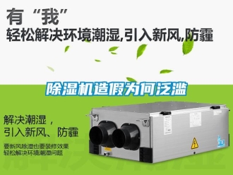企业新闻除湿机造假为何泛滥