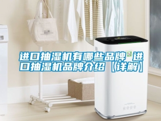 企业新闻进口抽湿机有哪些品牌 进口抽湿机品牌介绍【详解】