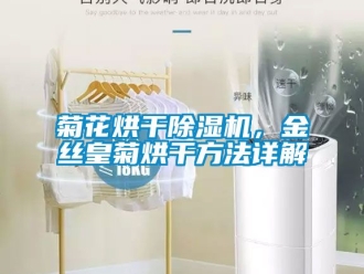 行业新闻菊花烘干除湿机，金丝皇菊烘干方法详解