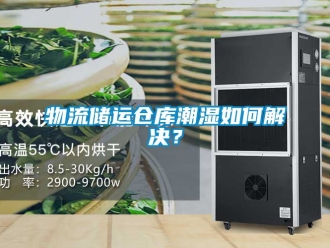 企业新闻物流储运仓库潮湿如何解决？