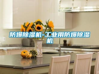 企业新闻防爆除湿机-工业用防爆除湿机