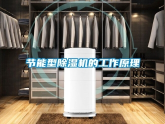 行业新闻节能型除湿机的工作原理