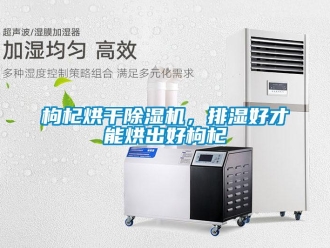 企业新闻枸杞烘干除湿机，排湿好才能烘出好枸杞