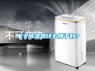 行业新闻电子除湿器什么牌子好？