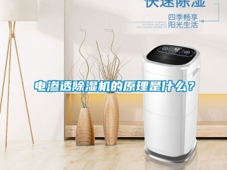 行业新闻电渗透除湿机的原理是什么？