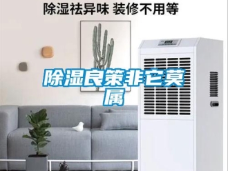 企业新闻除湿良策非它莫属