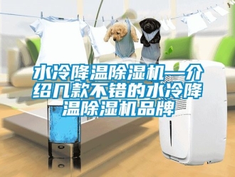 企业新闻水冷降温除湿机—介绍几款不错的水冷降温除湿机品牌