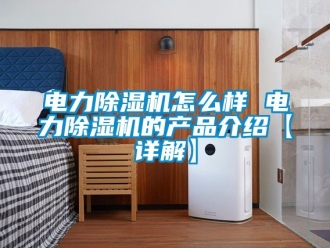 行业新闻电力除湿机怎么样 电力除湿机的产品介绍【详解】