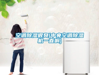行业新闻空调除湿很臭(中央空调除湿机一直响)