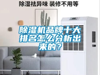 企业新闻除湿机品牌十大排名怎么分析出来的？
