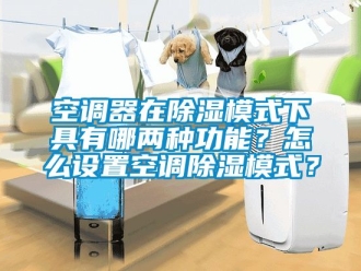 行业新闻空调器在除湿模式下具有哪两种功能？怎么设置空调除湿模式？