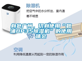 行业新闻身处广州，切身使用“碧浦BP35除湿机”的使用体会