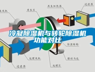 行业新闻冷凝除湿机与转轮除湿机功能对比
