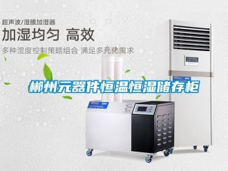 知识百科郴州元器件恒温恒湿储存柜
