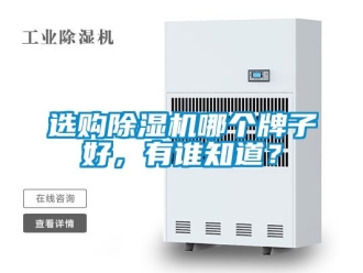 行业新闻选购除湿机哪个牌子好，有谁知道？