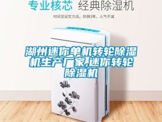 企业新闻湖州迷你单机转轮除湿机生产厂家,迷你转轮除湿机