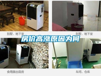 企业新闻房价高涨原因为何