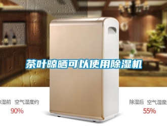 企业新闻茶叶晾晒可以使用除湿机
