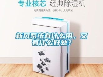 企业新闻新风系统有什么用，又有什么好处？