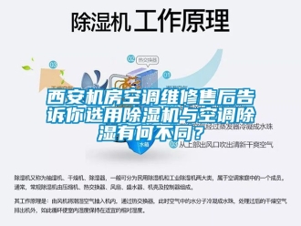 行业新闻西安机房空调维修售后告诉你选用除湿机与空调除湿有何不同？