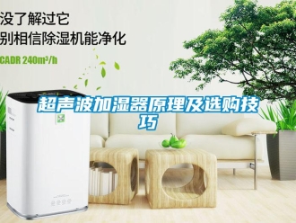 企业新闻超声波加湿器原理及选购技巧