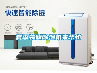 知识百科夏季装修除湿机来帮忙