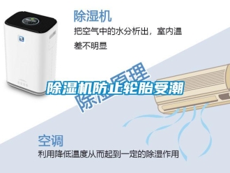 企业新闻除湿机防止轮胎受潮