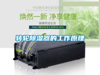 行业新闻转轮除湿器的工作原理