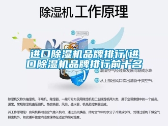 企业新闻进口除湿机品牌排行(进口除湿机品牌排行前十名)