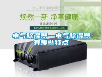 行业新闻电气除湿器—电气除湿器有哪些特点
