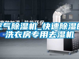 行业新闻空气除湿机_快速除湿的洗衣房专用去湿机