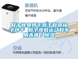 行业新闻鞋子除臭烘干器干鞋器袜子烘干 靴子皮鞋运动鞋专用杀菌／除湿
