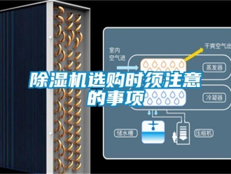 企业新闻除湿机选购时须注意的事项