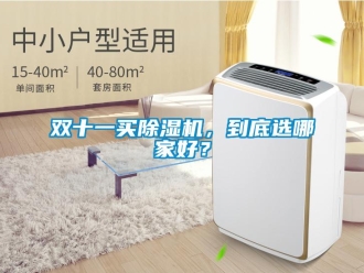 知识百科双十一买除湿机，到底选哪家好？