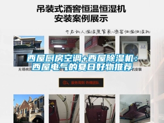 行业新闻西屋厨房空调+西屋除湿机：西屋电气的夏日好物推荐