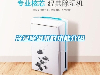行业新闻冷凝除湿机的功能介绍