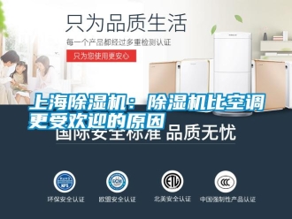 知识百科上海除湿机：除湿机比空调更受欢迎的原因