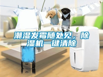 企业新闻潮湿发霉随处见，除湿机一键清除