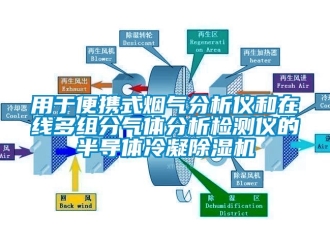 行业新闻用于便携式烟气分析仪和在线多组分气体分析检测仪的半导体冷凝除湿机