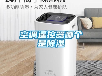 行业新闻空调遥控器哪个是除湿