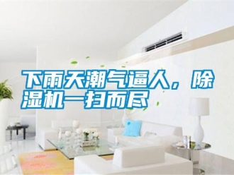 知识百科下雨天潮气逼人，除湿机一扫而尽