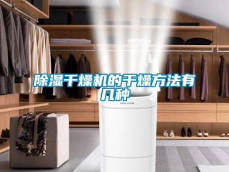 企业新闻除湿干燥机的干燥方法有几种