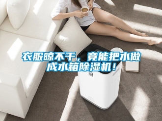 行业新闻衣服晾不干，竟能把水做成水箱除湿机！