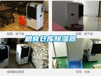 行业新闻粮食仓库除湿器
