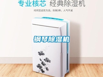 企业新闻钢琴除湿机