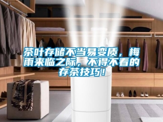 企业新闻茶叶存储不当易变质，梅雨来临之际，不得不看的存茶技巧！